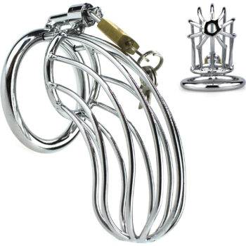 cage de chastete acier inoxydable vue complete
